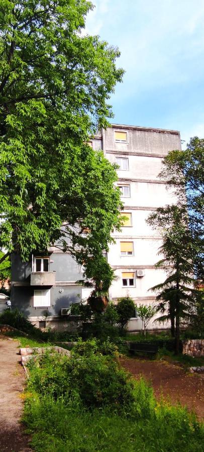 Apartment Inana Rijeka Bagian luar foto